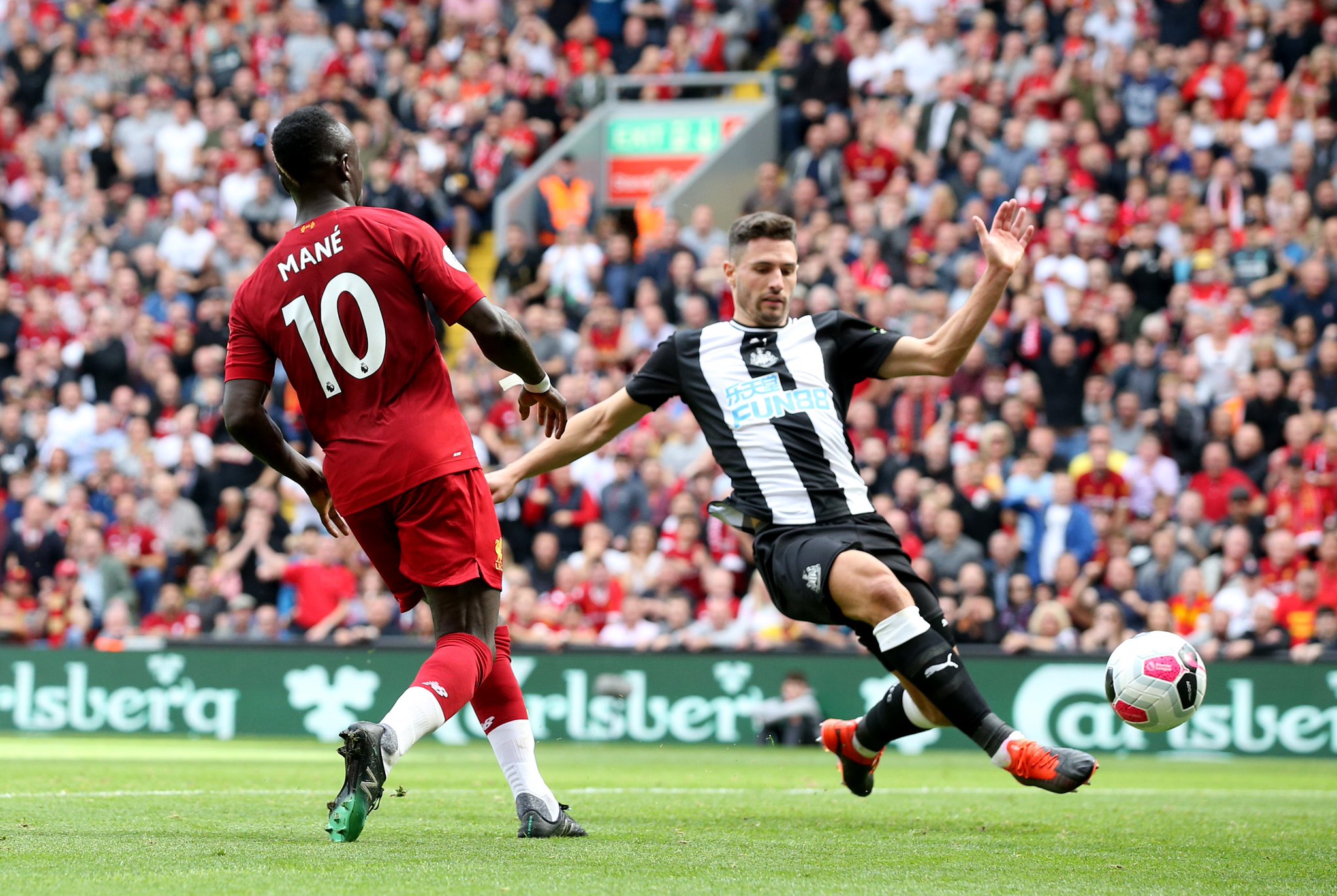 棋的人们来 棋的人们来